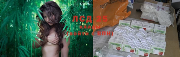 шишки Баксан