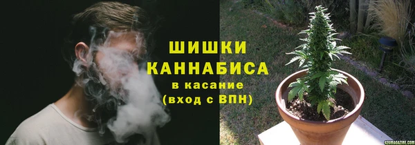 шишки Баксан