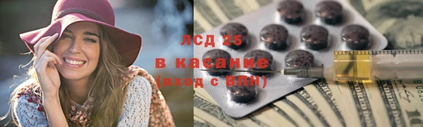 шишки Баксан
