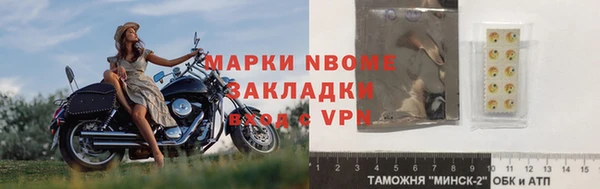 шишки Баксан