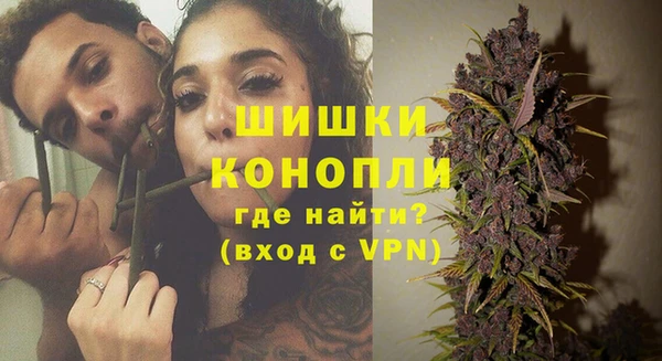 шишки Баксан