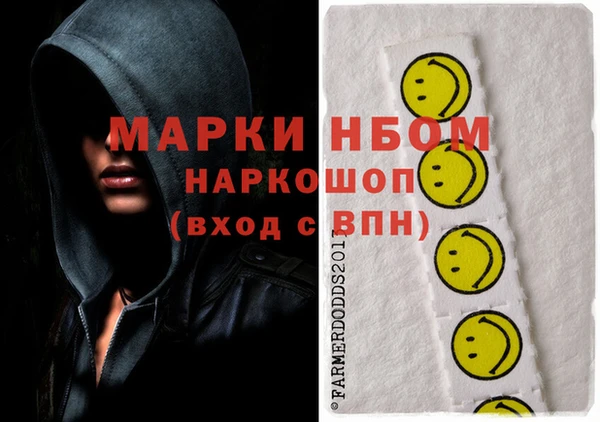 шишки Баксан