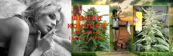 шишки Баксан