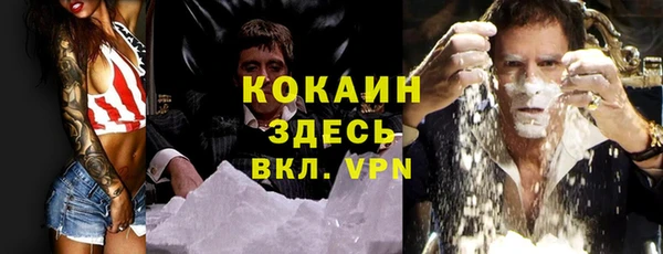 мяу мяу мука Балахна