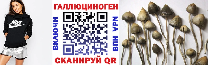 Псилоцибиновые грибы MAGIC MUSHROOMS  Питкяранта 